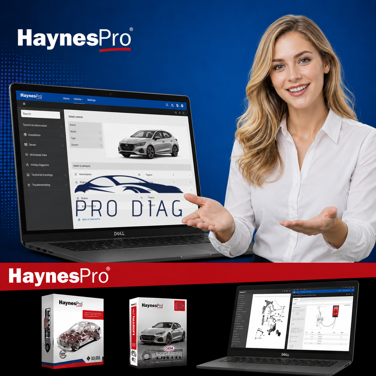 HAYNES UK preview 1